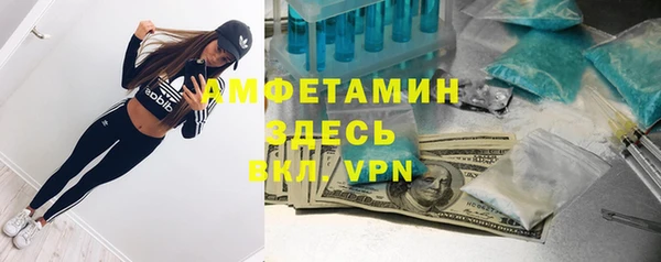 мяу мяу мука Бородино