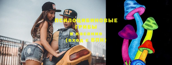 дмт Бронницы