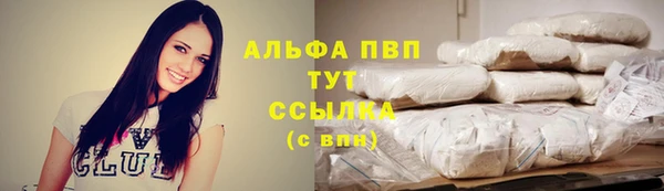 мяу мяу мука Бородино