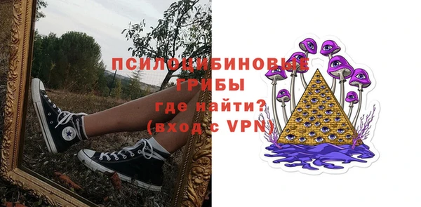дмт Бугульма