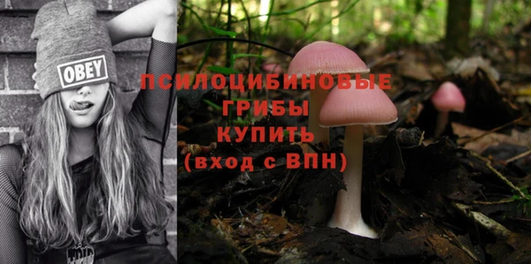мяу мяу мука Бородино