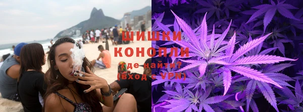 дмт Бронницы