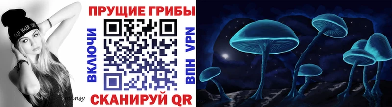 Купить закладки  Гагарин  Псилоцибиновые грибы Psilocybine cubensis 